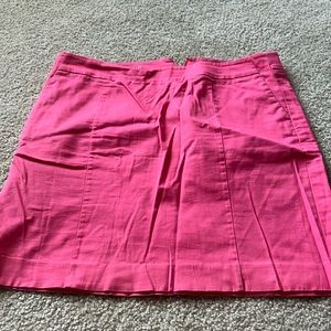 Ann Taylor Madison Skirt